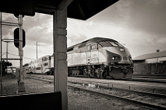Caltrain passing the College Park Station