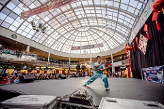 Edmonton Chinese New Year 2014