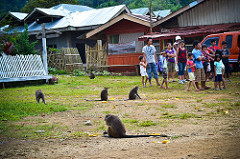 New Israel, Makilala, North Cotabato (8)