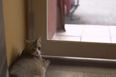 喵@ Camera Cafe 20080608  15