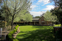 Many Shades of Spring Greens