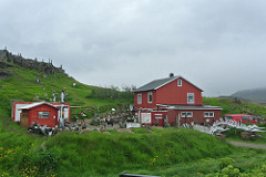 Djúpivogur tourist trap