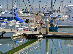Brisbane Yacht Club marina