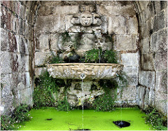 2265- Fonte da Coca-Pazo de Santa Cruz de Rivadulla en Vedra (Coruña)