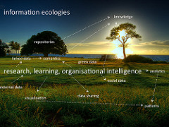 Why Nobody is Doing Enterprise Architecture | ZapThink