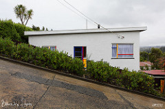 STEEPEST STREET IN THE WORLD