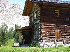 Fanes - Cow taking shelter