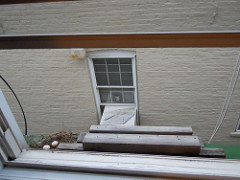 Pidgeon Nest in My Brooklyn Window