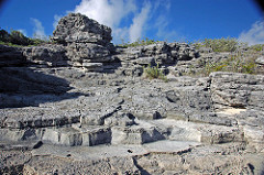 Calcarenitic eolianite (Hanna Bay Member, Rice Bay Formation, Holocene; Graham