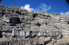 Calcarenitic eolianite (Hanna Bay Member, Rice Bay Formation, Holocene; Graham