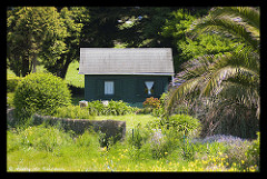 La cabane au fond du jardin