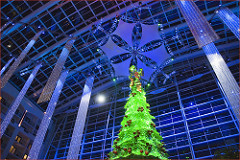 Gaylord National Christmas 2011 -- National Harbor (MD)