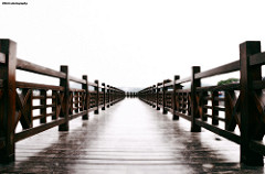 Walking in the Morning