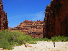 Little Man.  Big Canyon.