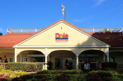 Dole Plantation, Plantation Rd, Wahiawa (503599)