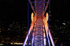 View from Ferris Wheel