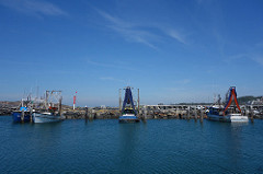 Coffs Harbour - Haven