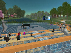 PDG Design Notebook: Live Music