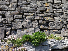 Inishmore, Ireland (May 2013)