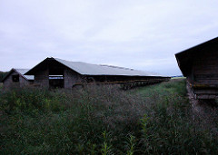 kauhava_alaharma_1_eka_2011-1