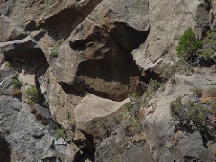 Kings Canyon August 2012 070