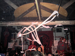 20080802 24 Vic Kepi Phenomenatus