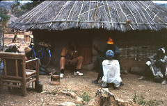 Diallo compound, Ibel, Senegal (near Kedougou)