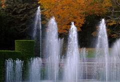 Longwood_2012 10 20_1414