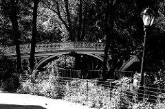 Central Park Bridge