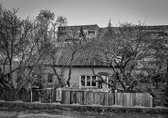 " Oldies " - Mono series ~