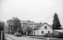 "Oldies" - Mono series ~