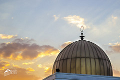 Day 27: Mercy (Ramadan Photo-A-Day 2013)