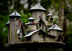 birdhouse hotel