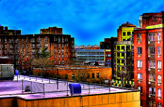 View from a Window . . .