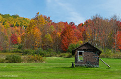 fall foliage crance brook road