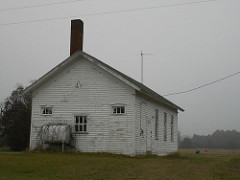 Wildwood School