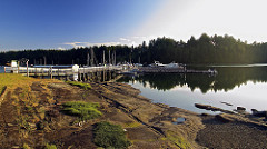 Low Tide At Telegraph Harbor Marina