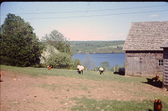 Mostly Family Canadian Contingent-1955 to 1978