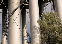 stairs shadow and tree