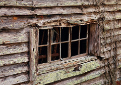 Life through a small window