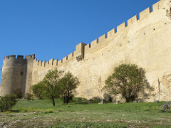 2005-09-17 10-01 Provence 777 Villeneuve-lès-Avignon - Fort St.-André