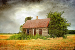 Light breaks over her