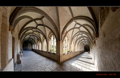 202/365 the Xantener Dom