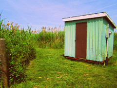 long point marshlands