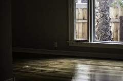 March, 2015...Spring!