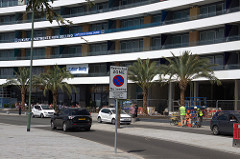 New Complex & Date Palms Torquay