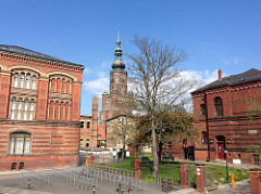 Greifswald Domansicht