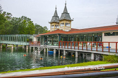 Hévíz [H], 2014, Il lago termale.