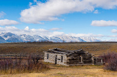 Killing yourself to live