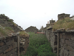 The turf roof needs cutting